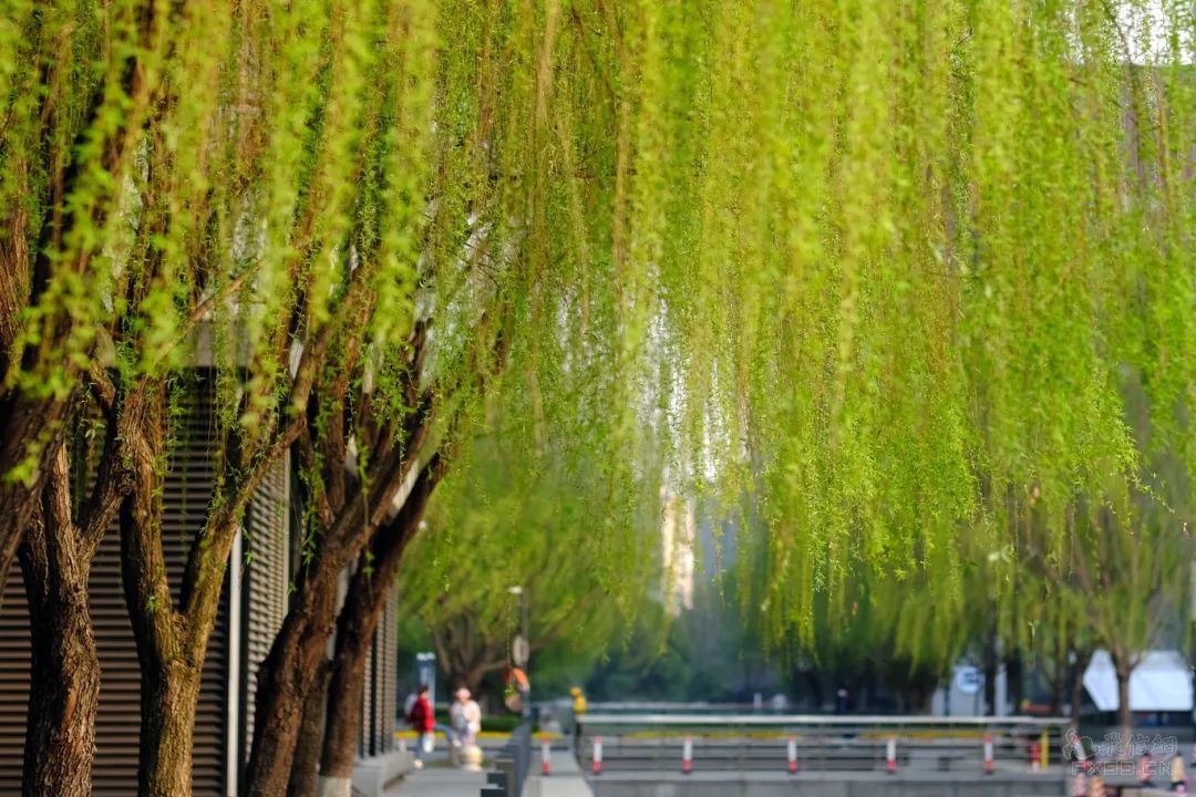 千金药业拟以发行股份加支付现金方式，提升对两子公司权益比例